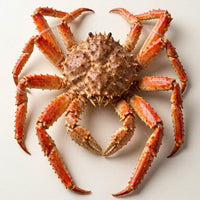 Fresh King Crab