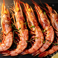 Wild Argentine Deep Sea Red Shrimp 2kg