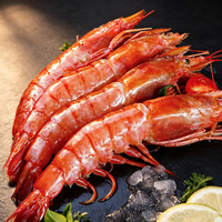 Wild Argentine Deep Sea Red Shrimp 2kg