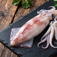 Frozen Squid